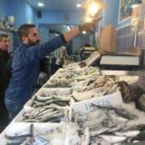 Fish Shops Xanthi