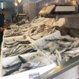 Fish Shop Xanthi