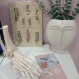 Ποδολόγος – Κοζάνη – Ειρήνη Καρακοντή